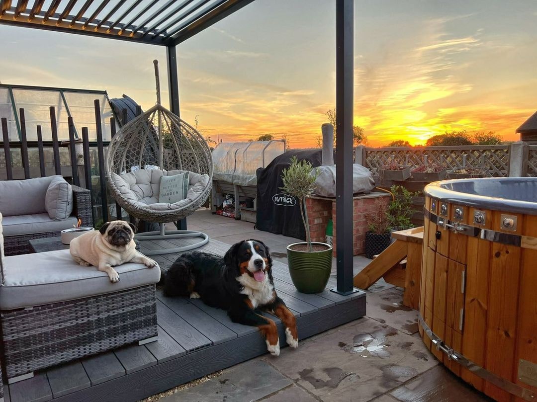 Outdoor terrace at sunset with wicker seating, hanging chair, two dogs, potted plants, and wooden hot tub on stone floor.